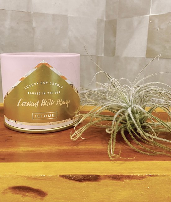 Coconut Milk Mango Luxury Soy Candle - Image 2